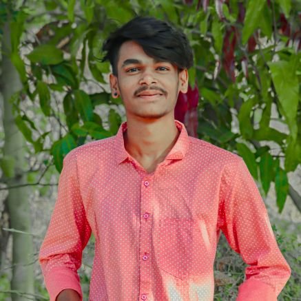 panku_mavi's profile picture. 