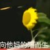 花果山Enge (@engechina) Twitter profile photo 花果山Enge (@engechina) Twitter profile photo