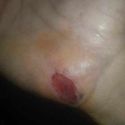 MuhammadFa41919's profile picture. SKhani