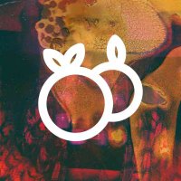 oranges journal(@orangesjournal) 's Twitter Profile Photo