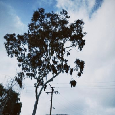 riggboi's profile picture. 