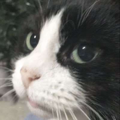 allvforever's profile picture. อีนี่แปก รักน้องแท