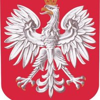 Dariusz Durajczyk (@darek_pl) 's Twitter Profile