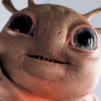 Phil the Pting (parody) (@philpting) 's Twitter Profile