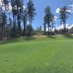 golfing dad (@foredadsgolf) Twitter profile photo