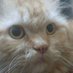 alif bun cihuy (@abuncye) Twitter profile photo alif bun cihuy (@abuncye) Twitter profile photo