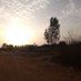 Nyang 🌄 (@raa_modou) Twitter profile photo Nyang 🌄 (@raa_modou) Twitter profile photo