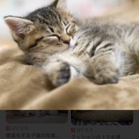 futu (@tont1097) 's Twitter Profile Photo futu (@tont1097) 's Twitter Profile Photo