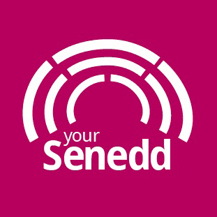 Your Senedd