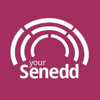 Your Senedd (@yoursenedd) 's Twitter Profile