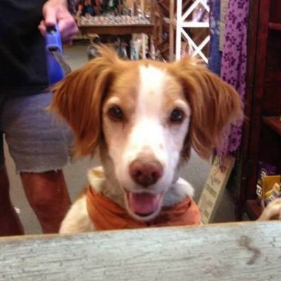 dannyc9876's profile picture. Just a man.