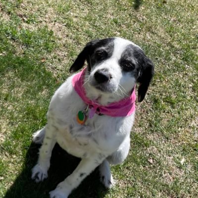 g0WRKksP9nozSfY's profile picture. I love my dog and figure skating