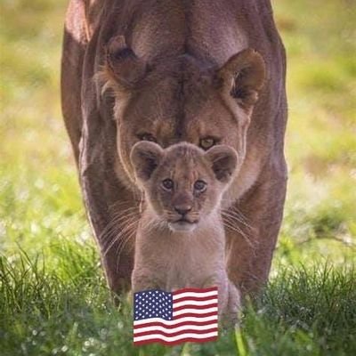AngelaPatriot55's profile picture. 