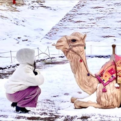 jasmlnum's profile picture. 98/でぃあ/