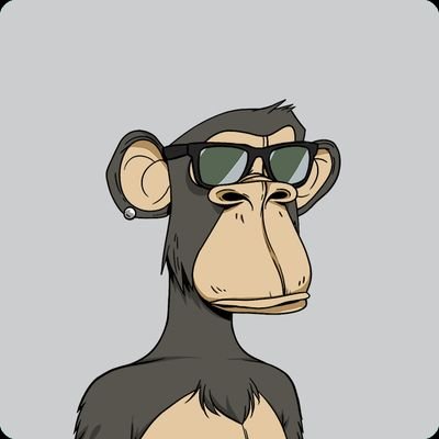 SachDana's profile picture. Temp Back on Twitter
RRBAYC supporter