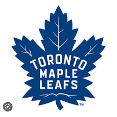 Leafs Nation Member, Hockey YouTuber, Professional Gambler, Avid Maple Leafs Fan...