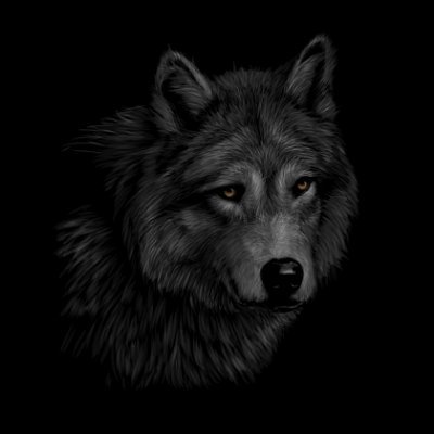 Gabriel16083's profile picture. https://t.co/qvlWMX6H6G…