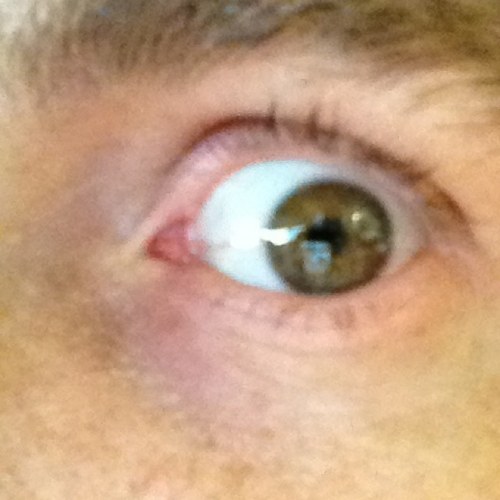 DownsSteve's profile picture. 