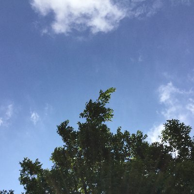 U4fHpzETpGlZNN9's profile picture. 50代になりました。ここまで生きてこられた祖国日本に感謝。
微力ながら、これからは恩返しとして
少しでも息子達に日本を残したい。