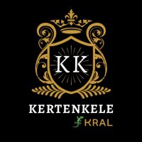 KertenkeleKral 🦎(@krtnklkrl) 's Twitter Profile Photo