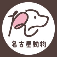 名古屋動物専門学校【公式】(@nagoyadoubutsu) 's Twitter Profile Photo