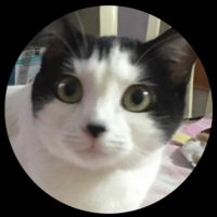Yasmin castro (@yasmincastro412) 's Twitter Profile