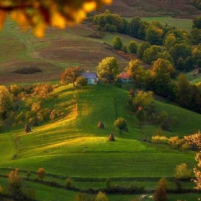 bwknn4942968897's profile picture. : البشر كالأشجار هناك من تستظل بظلهم وهناك من تستفيد من ثمارهم وهناك أيضاً من يعيق طريقك لا أكثر ..!