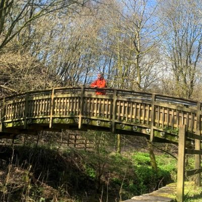 the_mushy_pea's profile picture. 