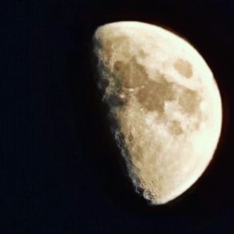 Mon0515_hk's profile picture. 친구좀 사겨봅시다 일상적인거 몇개 올려유