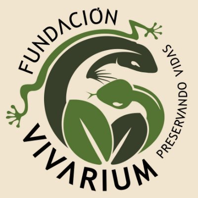 FVivarium Profile Picture