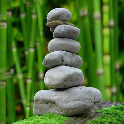 NizamTtcm77086's profile picture. 