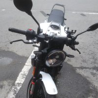 X11 (@4lksvg2gj4lucl3) 's Twitter Profile
