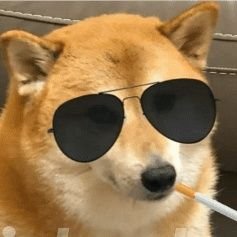 CloudRen01's profile picture. 