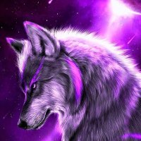 huskie (20) (@caleb_nightpure) 's Twitter Profile