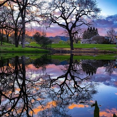 sindee_lu's profile picture. Taking inspiration from courageous truth tellers in a world gone mad.  Hoping we've hit bottom and it's upward from here. If not, I is worried.