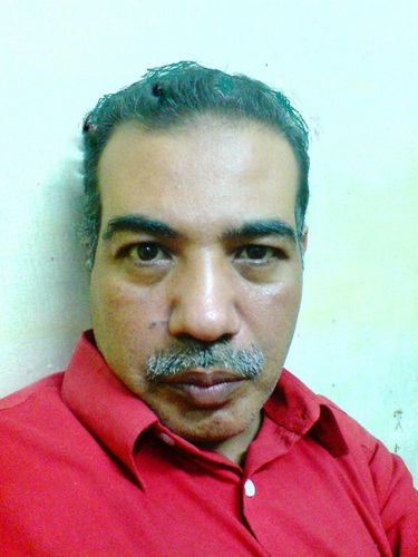 سيد