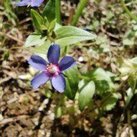 しばらくはニート (@2023jjstyle) 's Twitter Profile