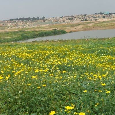 @futsum87609769