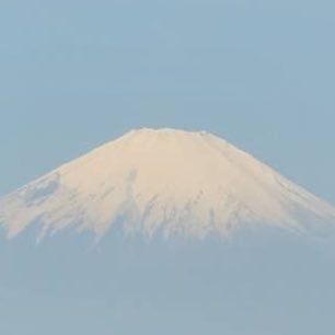 ぐっちさんのプロフィール画像