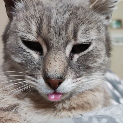 Nazarii_00's profile picture. Ksix?

https://t.co/eeWAtbwPbz