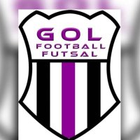 Gol FFC (@gol_futsal) 's Twitter Profile