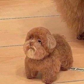 SaiagasParadise's profile picture. it’s been a long day