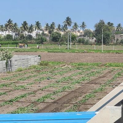 SatyenMaurya1's profile picture. Service Manager @Reliance digital (ResQ)