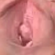 NN919425's profile picture. 