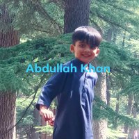 qaiser khan (@qaiserkhan34965) 's Twitter Profile
