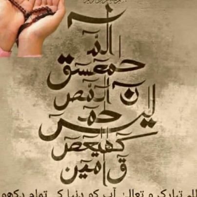 meraj_mohsin's profile picture. 