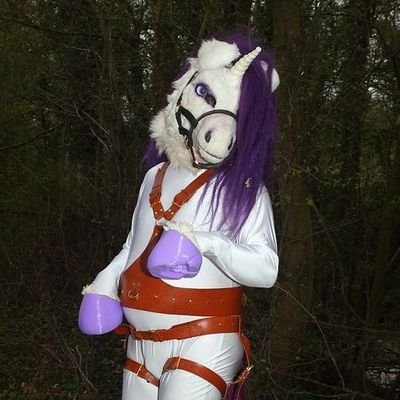 EquusFindy Profile Picture