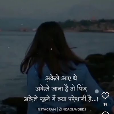 KGujarati16544's profile picture. 