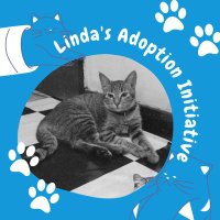 Linda's Adoption Initiatives(@LindaLokie) 's Twitter Profile Photo