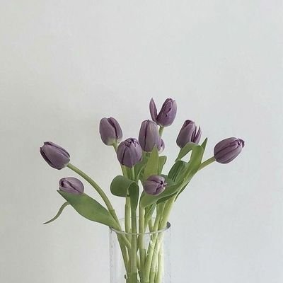 purple tulips in the blue moon (ซุ่มแต่งออริอยู่)